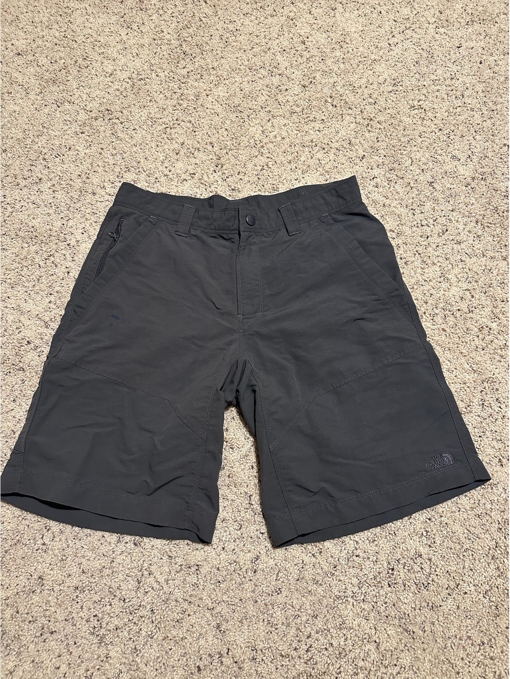 The North Face Men's Regular Fit Cargo Shorts Size 34 Charcoal Gray